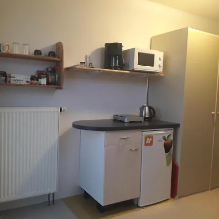 Prague-1 Room/2 Beds,bathroom,toilet Praga